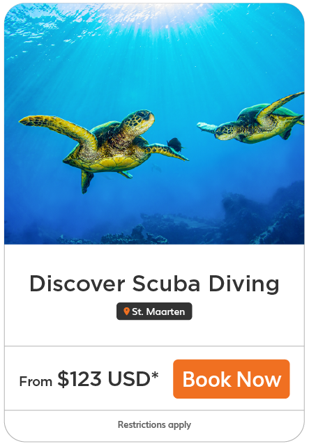 discover scuba